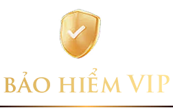 bao hiem vip